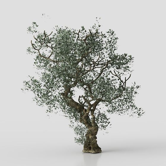Realistic Olive Tree 3D Model for Creative Projects