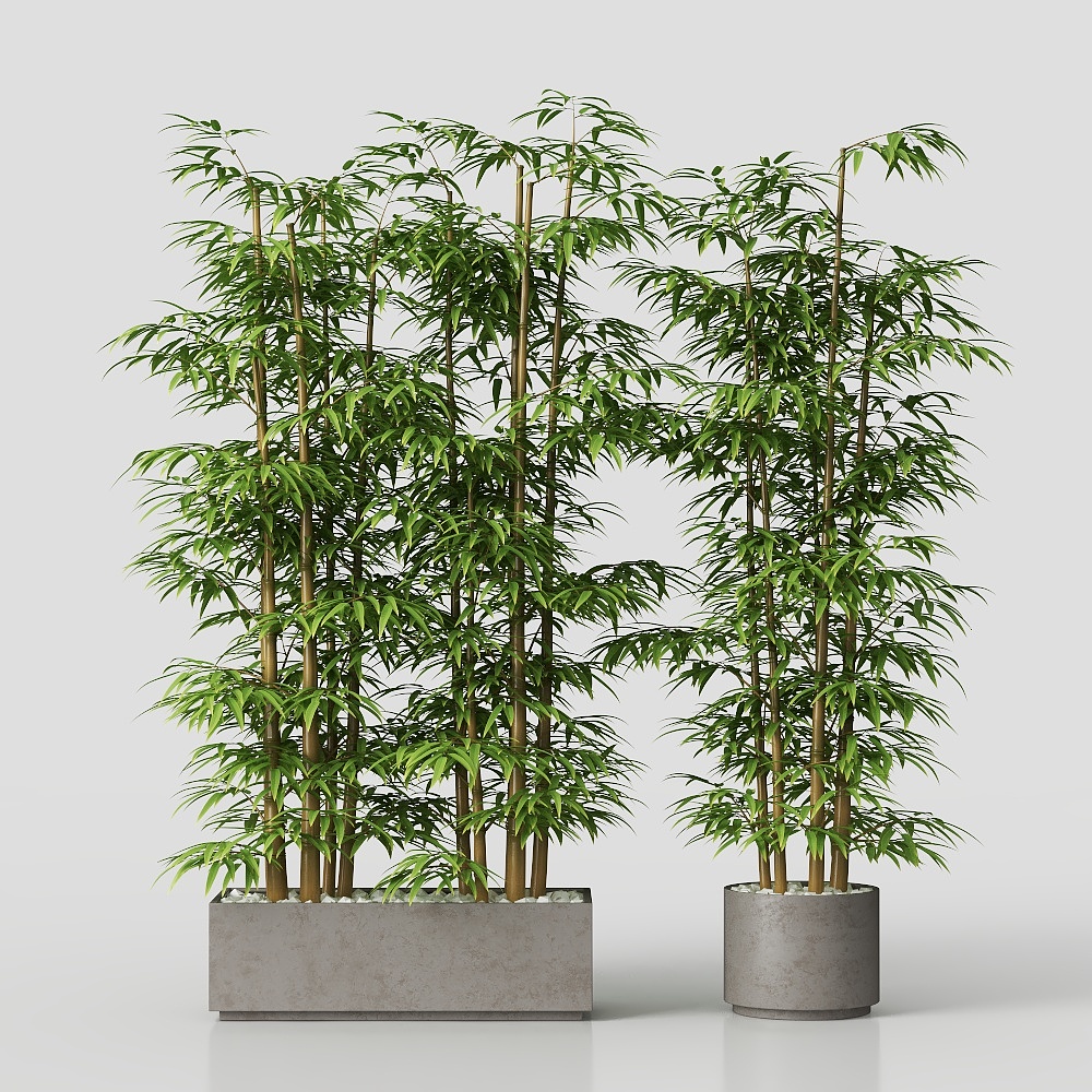 5435024.64a561e56155a