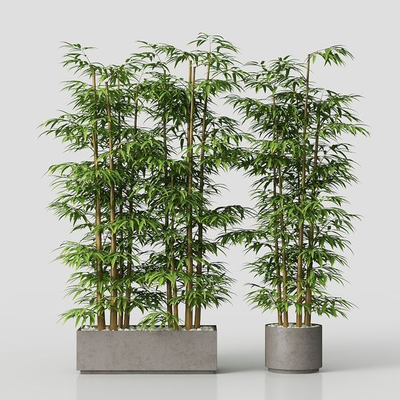 5435024.64a561e56155a