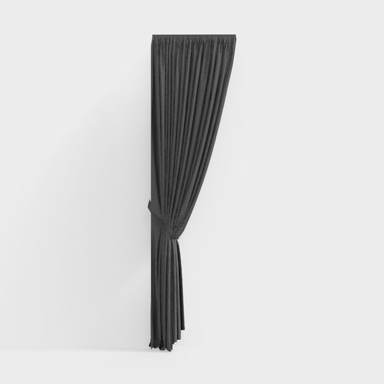 Black Velvet Curtain 3D model