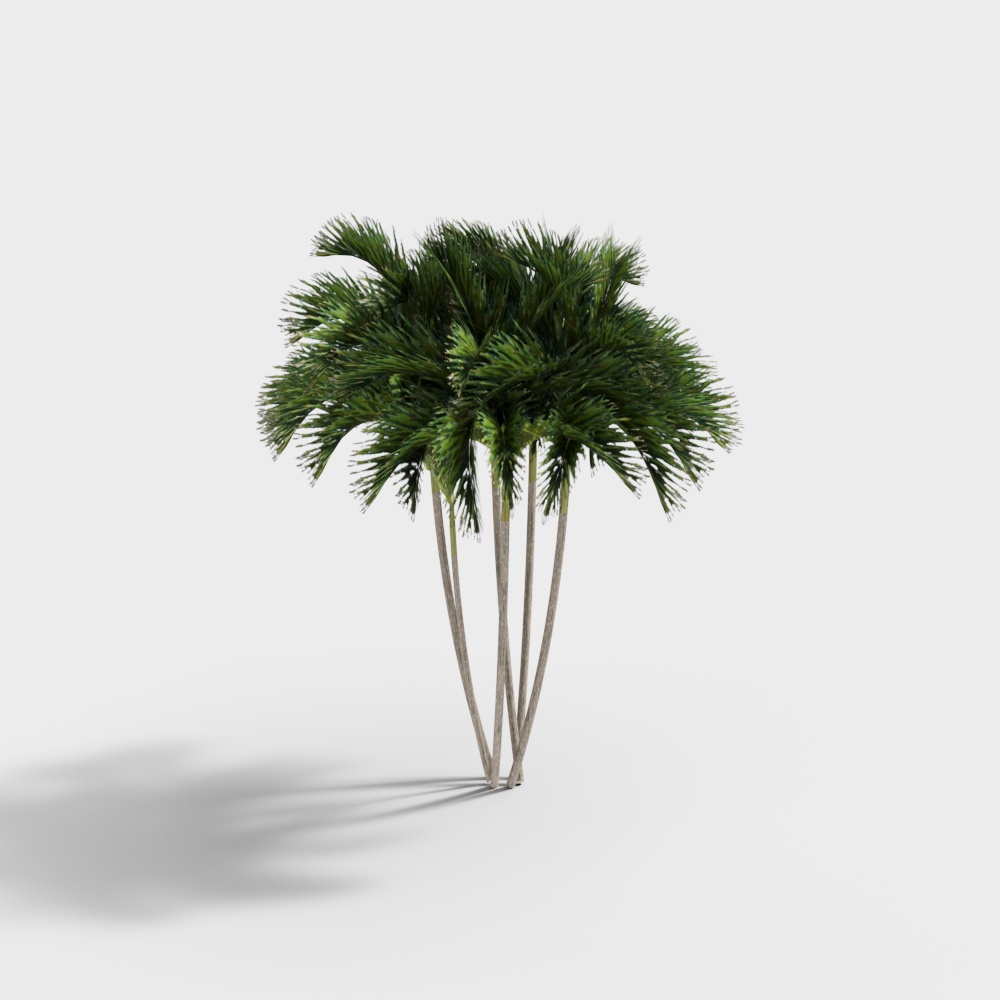 Tropical Palm Tree 3D Model