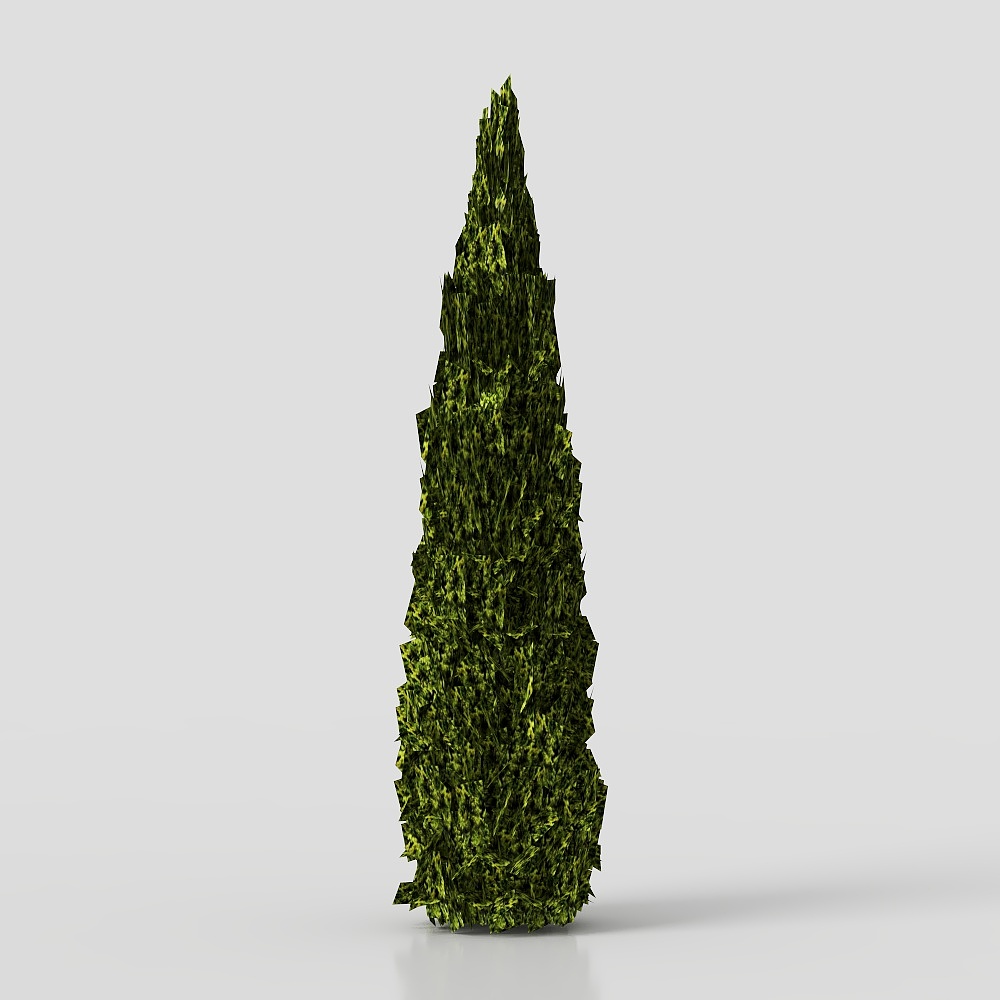 Thuja002