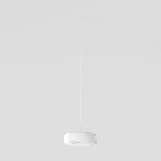 Modern Minimalist Pendant Light 3D model