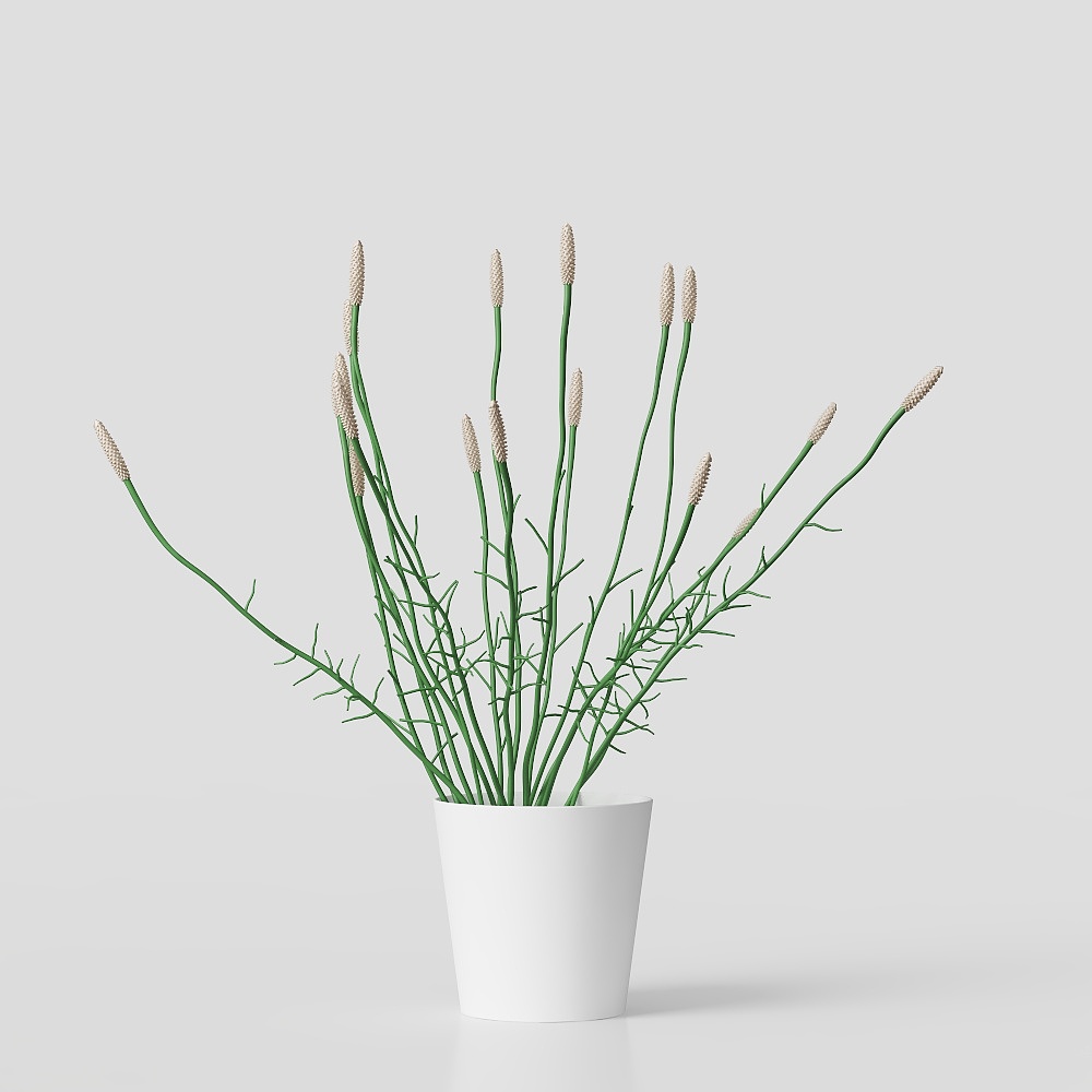 Unique Dry Branch Vase 3D model