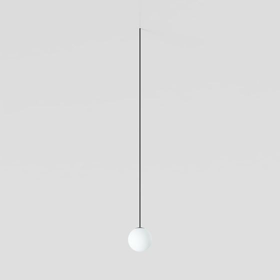 CAMELEON-Boule de neige-10267