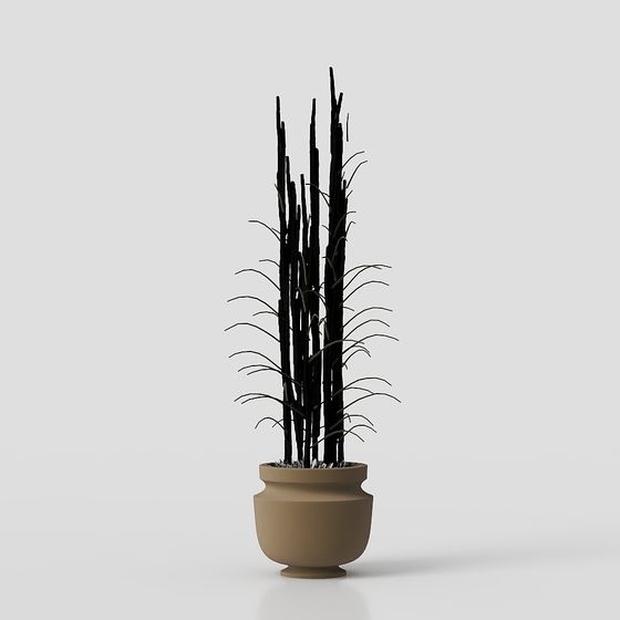 Minimalist Bamboo Plant 3D model