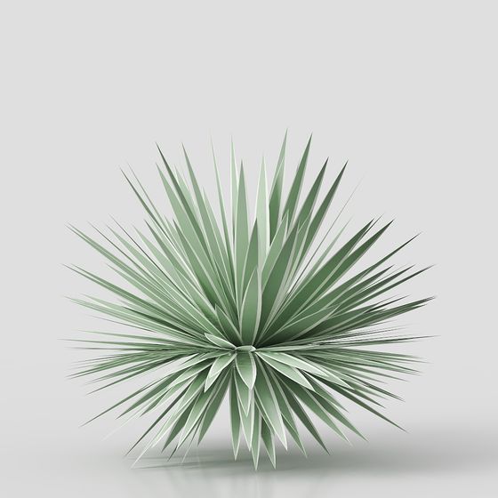 Desert Soul Low-Poly Cactus 3D model