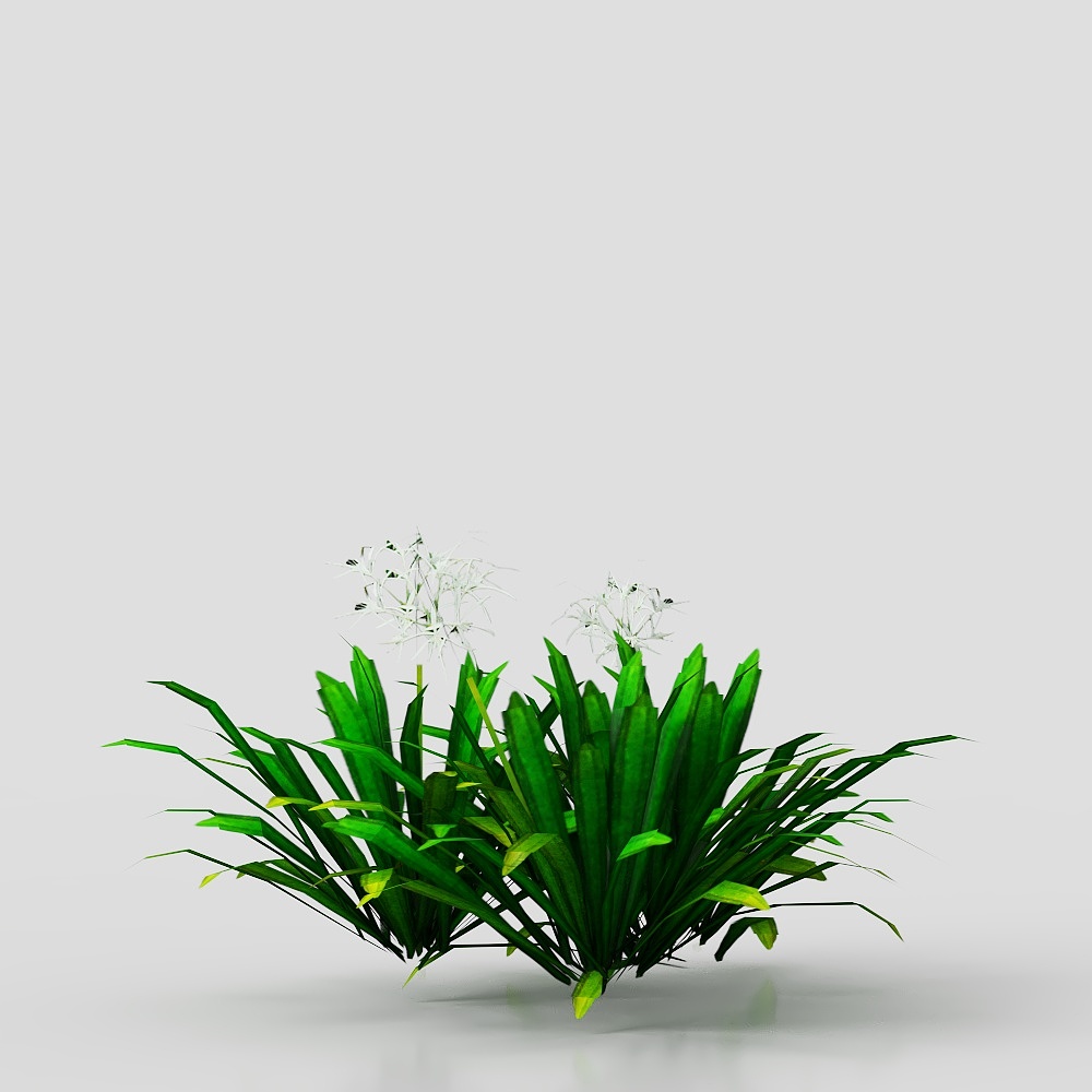 Lush Garden Plant 3D model