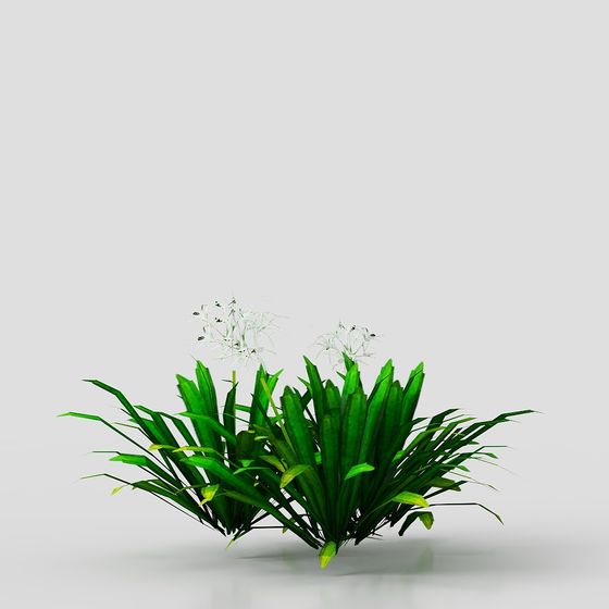 Lush Garden Plant 3D model