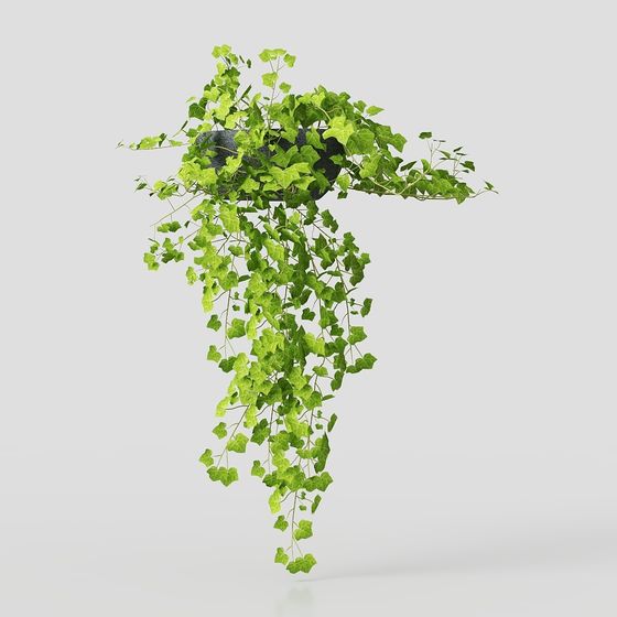 Hanging Ivy 3D Model for Modern Designs