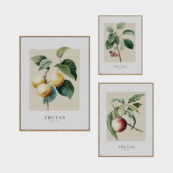 Fruit Framed Art 3D model