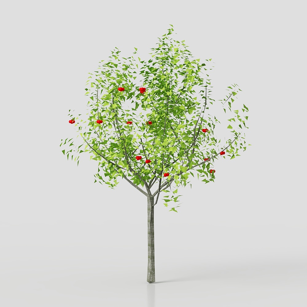 말피기아 글라브라 아세로레이라 - 과일