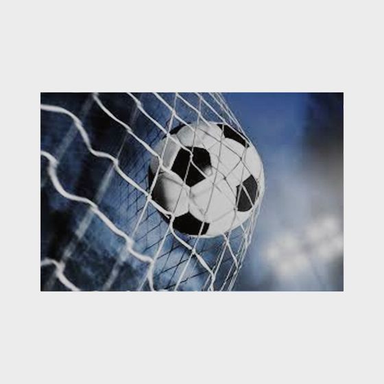 Goal Moment 3D Model for Football Lovers