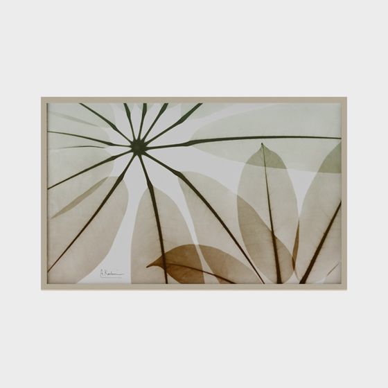 Light and Shadow Dance 3D model