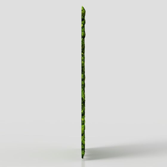 Winding Tree Trunk 3D Model for Creative Use