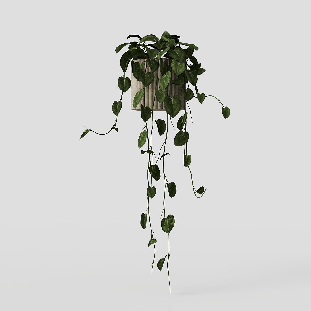plant 09