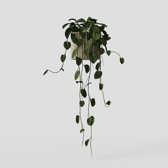 Hanging Basket Plant 3D Model