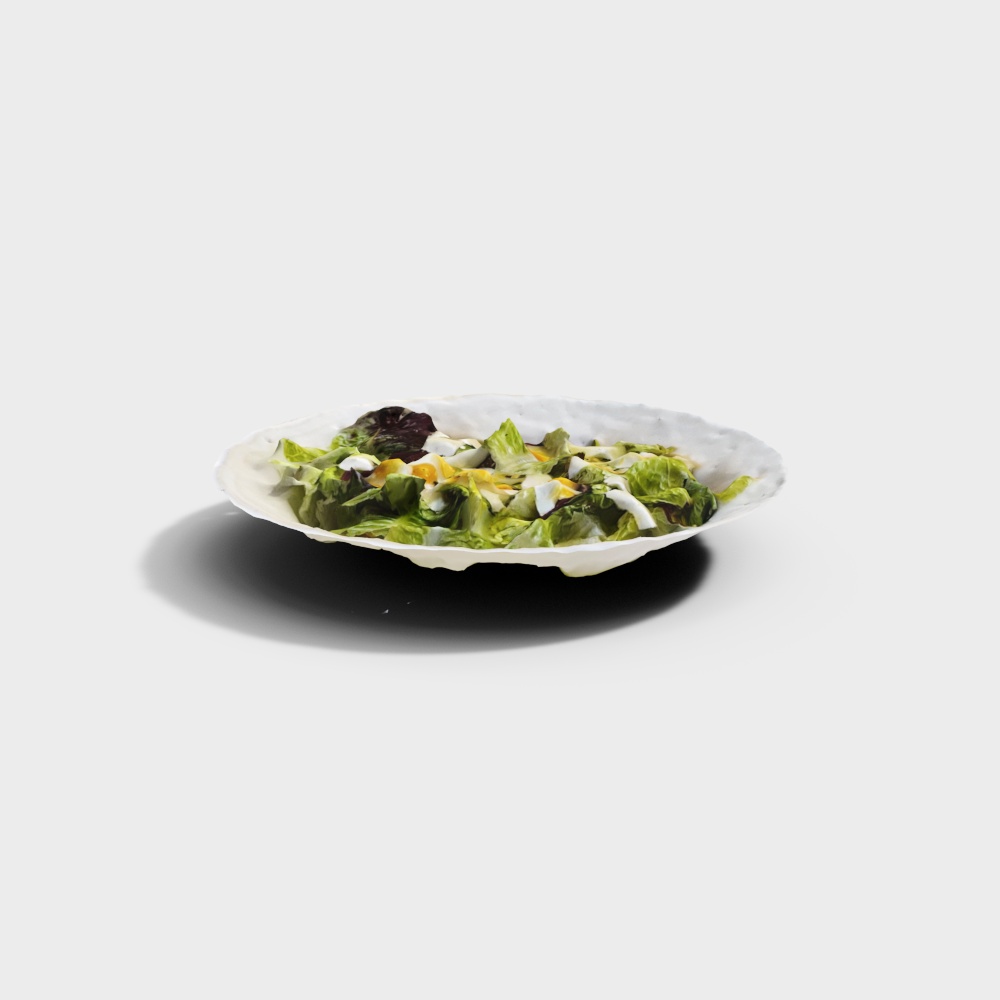 Salad Plate