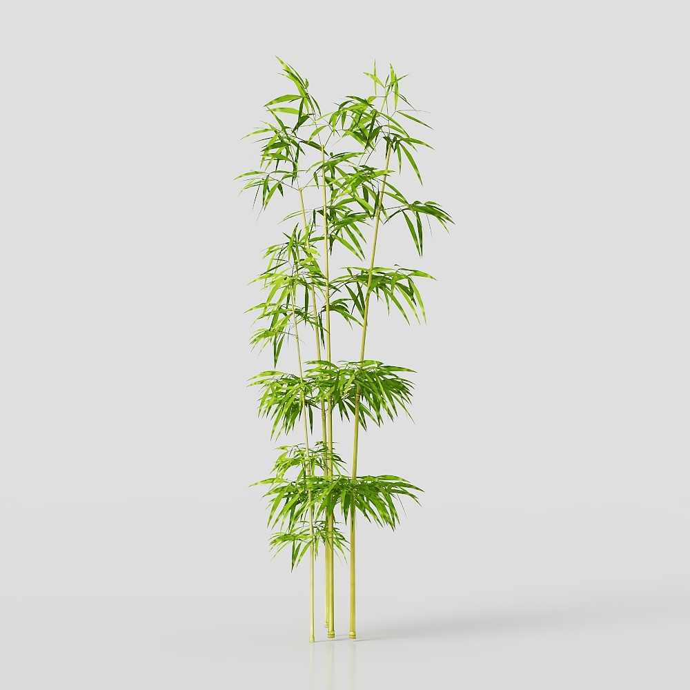 Bambuzinho de Jardim