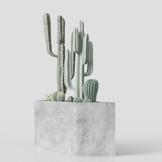 Low-Polygon Cactus 3D model for Creative Projects