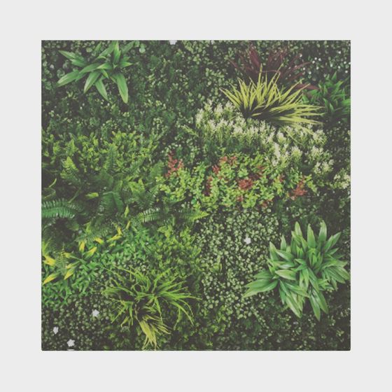 Living Wall Low-Poly 3D Model