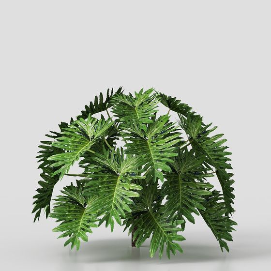 Tropical Plant 3D Model for Enriching Spaces