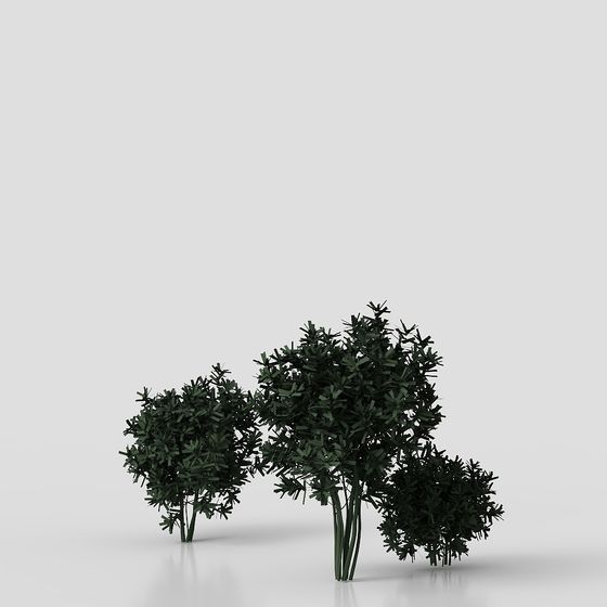 Forest Spirit Low Poly 3D Model for Creative Projects