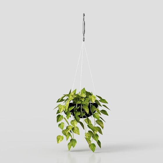 Hanging Green Plant 3D model: Perfect Fusion of Nature and Modernity