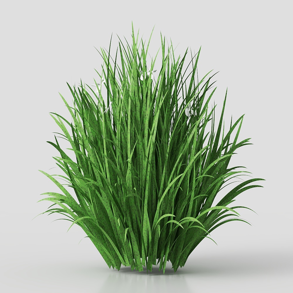 4607_Mor&eacute;ia branca