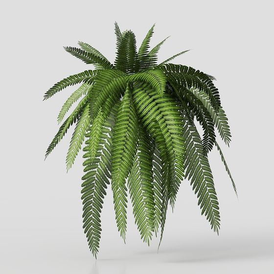 Charming Tropical Fern 3D model for Creative Projects