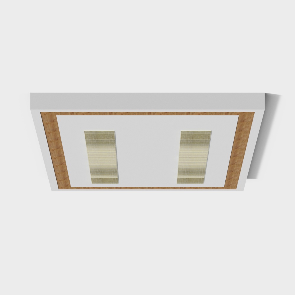 Shoe Showroom Ceiling