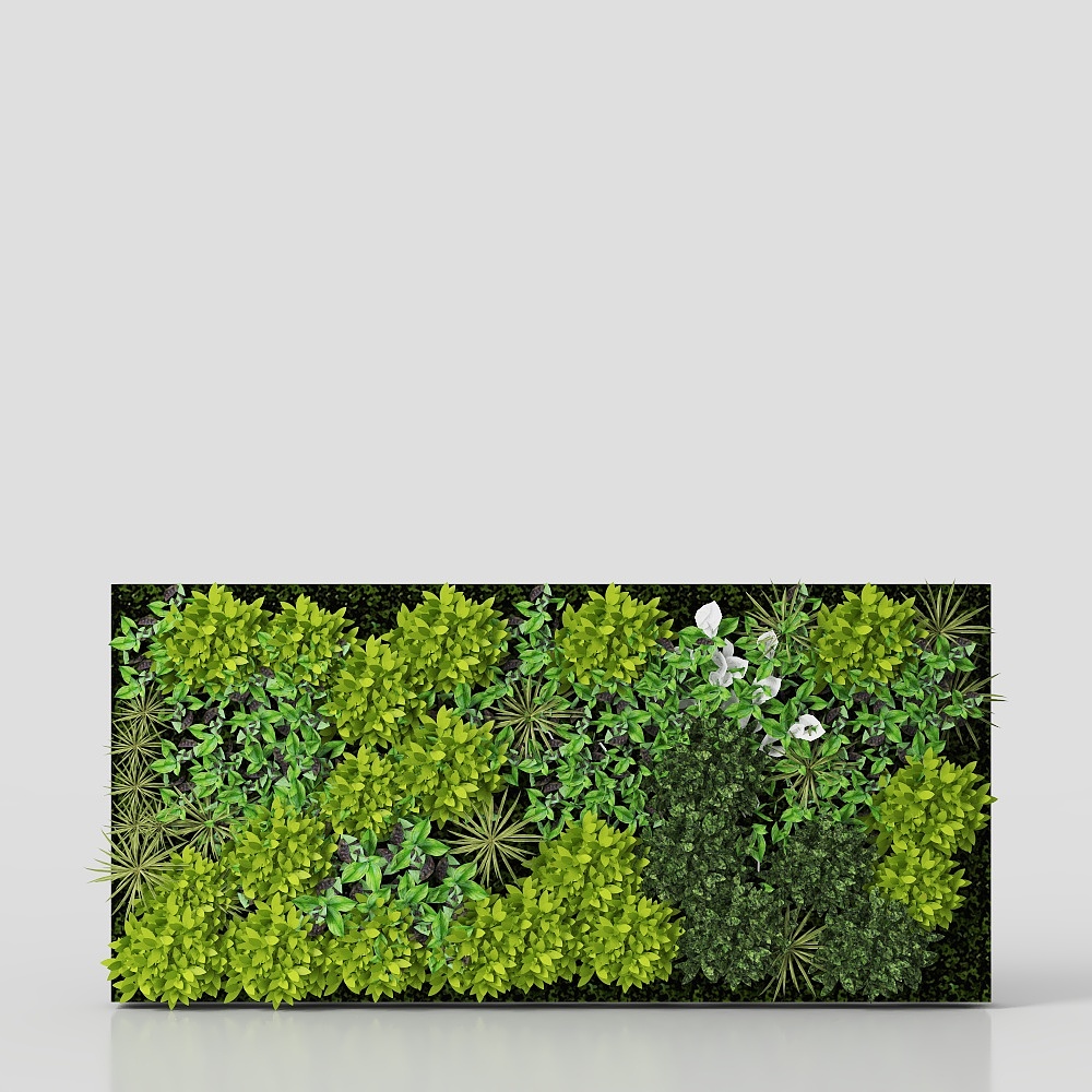 Vertical Garden - Moss Vegetation