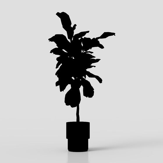 Shadow Green Plant 3D model
