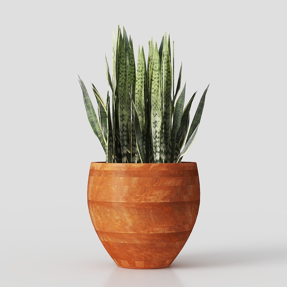 Snake Plant and Wooden Pot 3D model