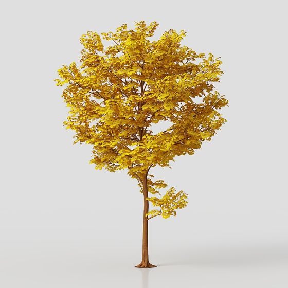 Vibrant Autumn Maple Tree 3D Model