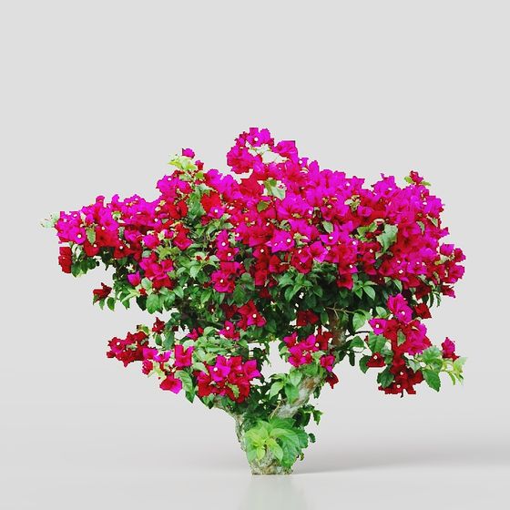 Vibrant Flower Tree 3D Model for Creative Projects