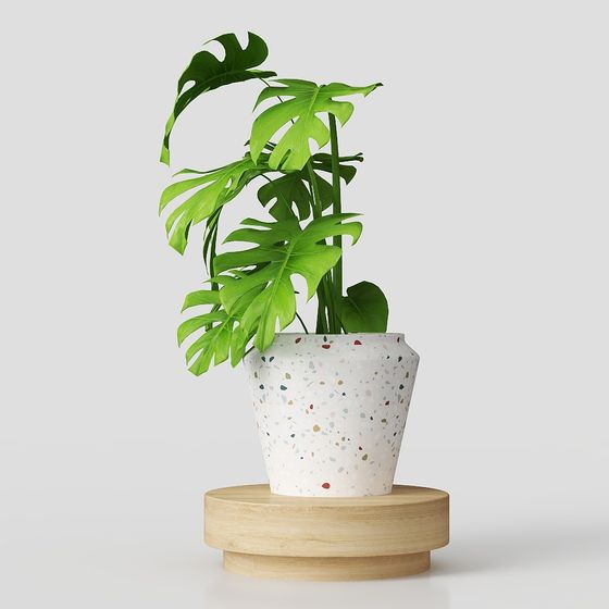 Lush Monstera Plant 3D Model for Creative Spaces