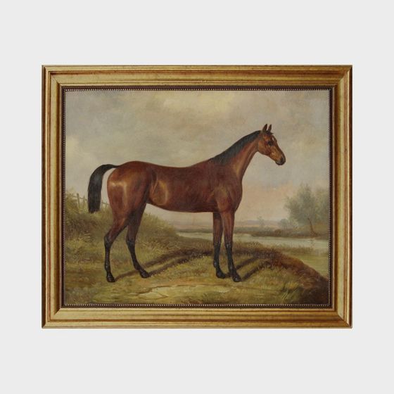 Country Horse 3D model for Creative Projects