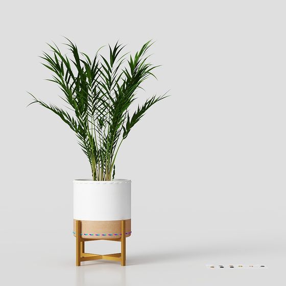 Cachepot สีทอง ขนาด P - Oruy