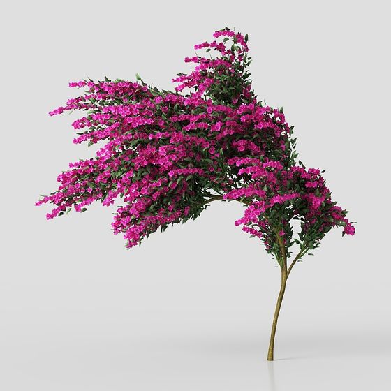 Vibrant Purple Blossom Tree 3D model