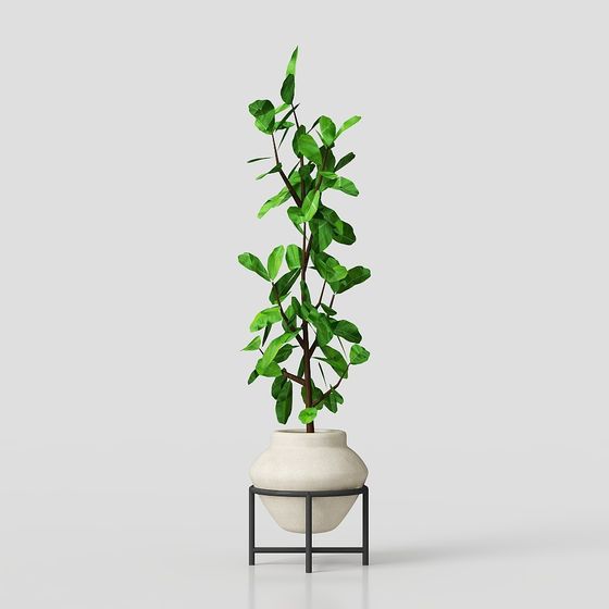Urban Green Plant 3D Model