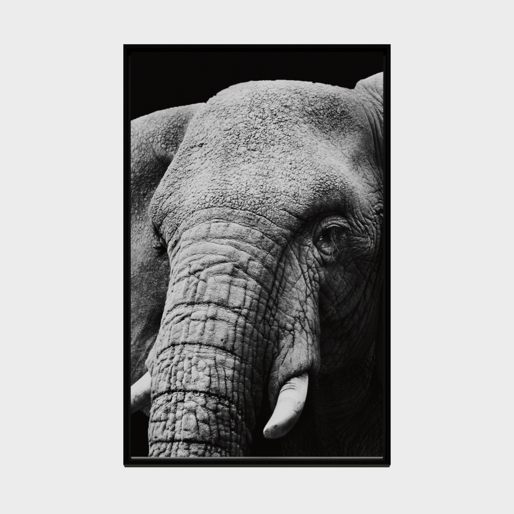 elefante4
