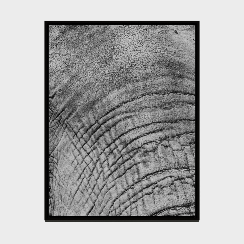 Black framed wall art print with grey elephant skin texture pattern on white background