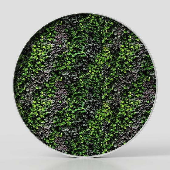 Vines Wall 3D Model for Nature-Inspired Design