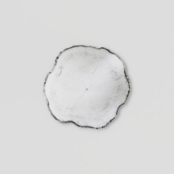 Realistic Old Tree Stump 3D model