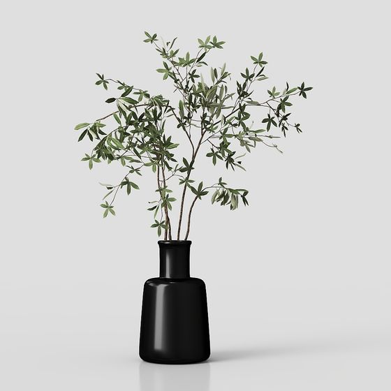 Black Bottle Green Plant 3D model