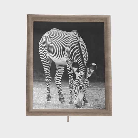 Realistic Low Poly Zebra 3D model