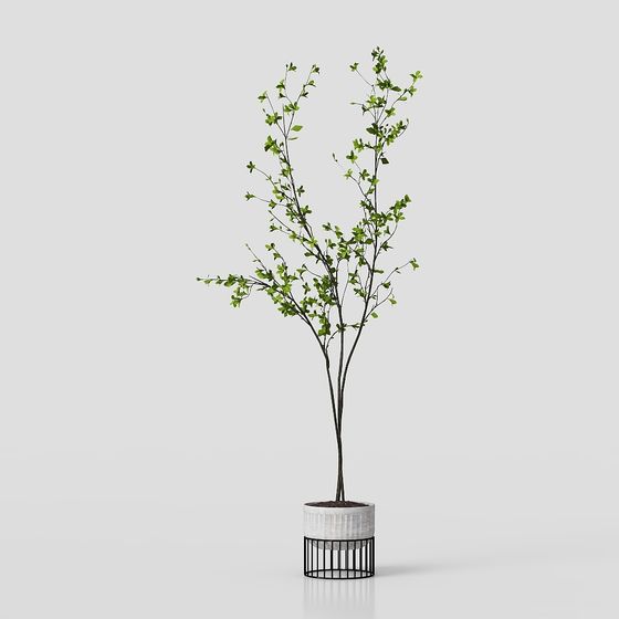 Urban Greenery 3D Model for Designers
