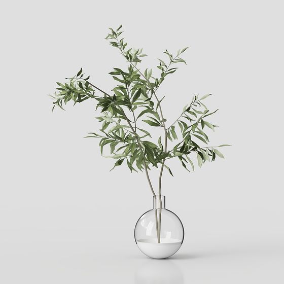 Green Plant in Glass Vase 3D model for Creative Projects