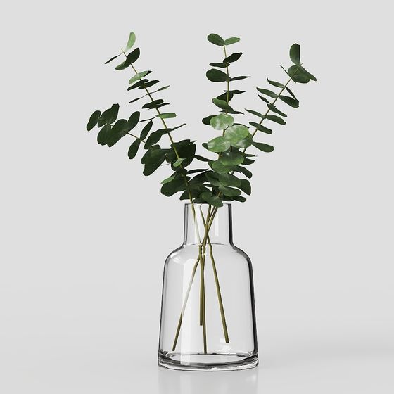 Glass Vase with Eucalyptus Branch 3D model
